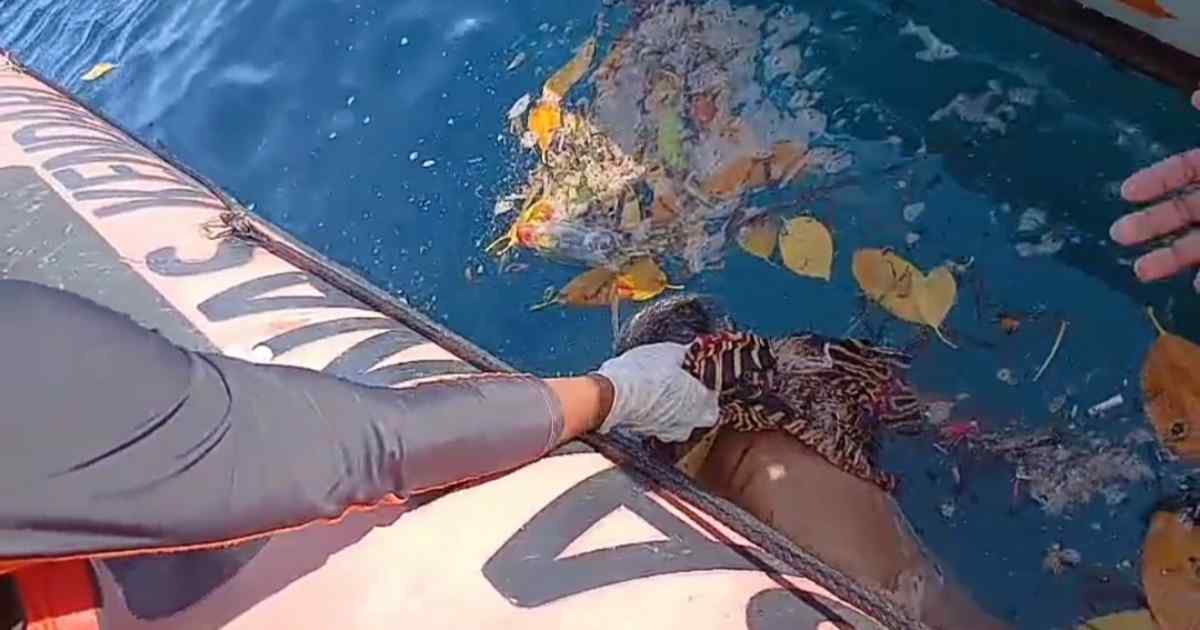 Satu Nelayan Korban Tabrakan Kapal Tongkang Pemuat Nikel Ditemukan, Satu Masih Hilang 7 3321