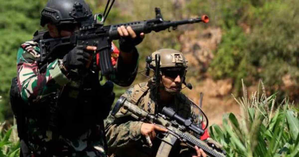 Panglima Opm Di Pegunungan Bintang Papua Tewas Ditembak Tni 1 8A681C44 6996 4547 B34D 2769B24B7377
